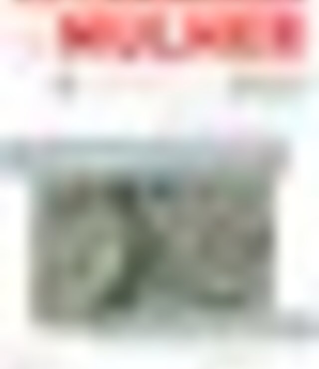 tiny_thumb_cartaz_caminhada_da_mulher_2021