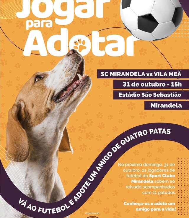 adocao_adan