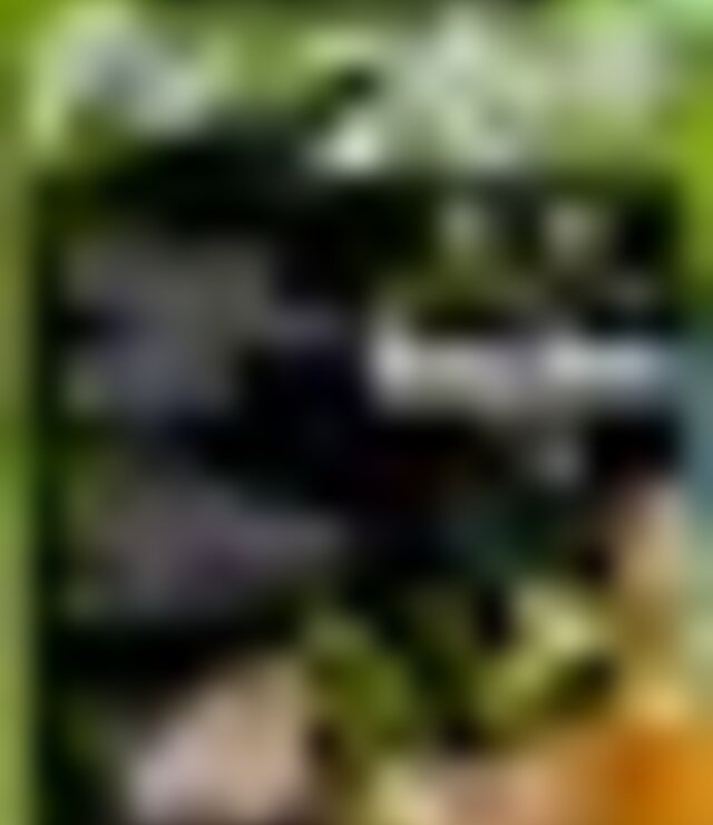 tiny_thumb_feira_pao_azeite_sucaes_mirandela