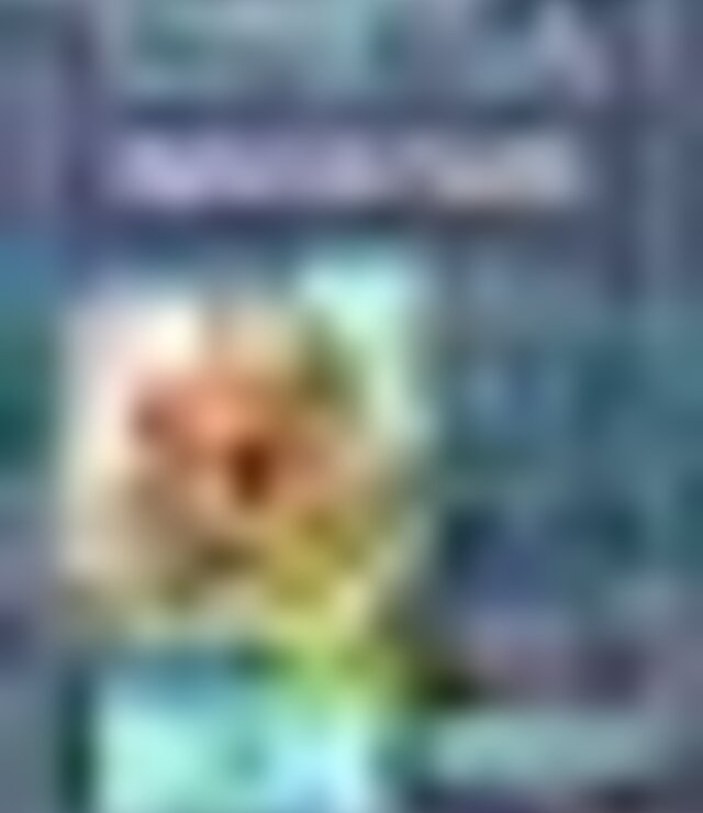 tiny_thumb_cartaz_filme_infantil_bigfoot_em_familia