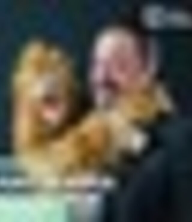 tiny_thumb_joao_seabra