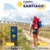 thumb_cartaz_mirandela_01