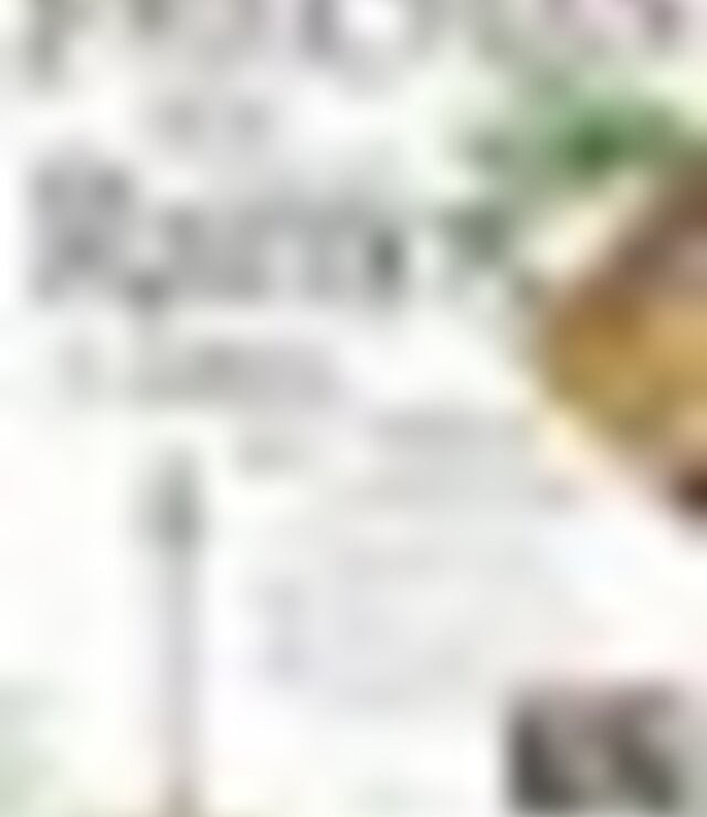 tiny_thumb_feira_dos_ramos_2023___frechas