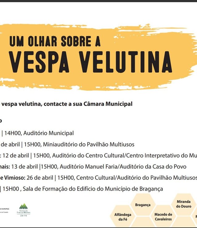 um_olhar_sobre_a_vespa_velutina