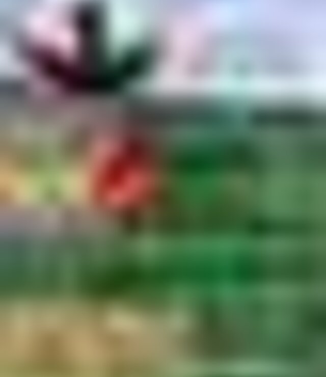 tiny_thumb_percurso_pedestre_2023