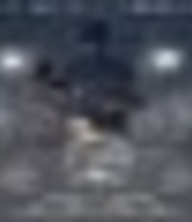 tiny_thumb_xi_adegas_1x1
