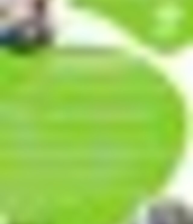 tiny_thumb_seminario_envelhecimento_ativo_e_relacoes_intergeracionais___clds4g