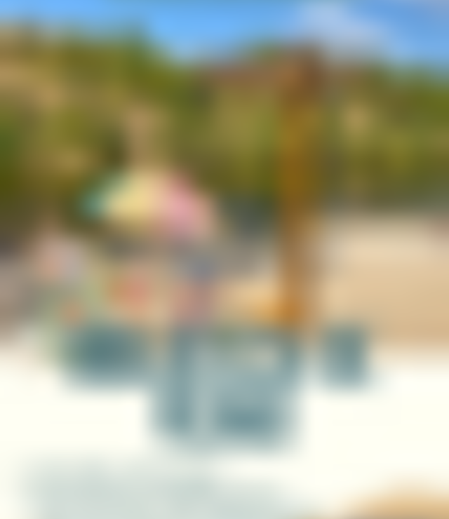 tiny_thumb_biblioteca_de_verao