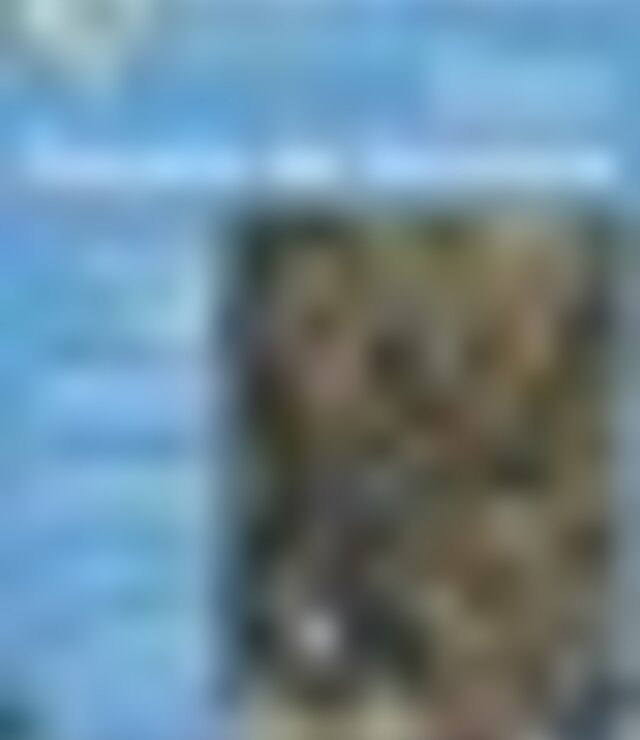 tiny_thumb_a3_sem_passeio_de_bicicleta_2023