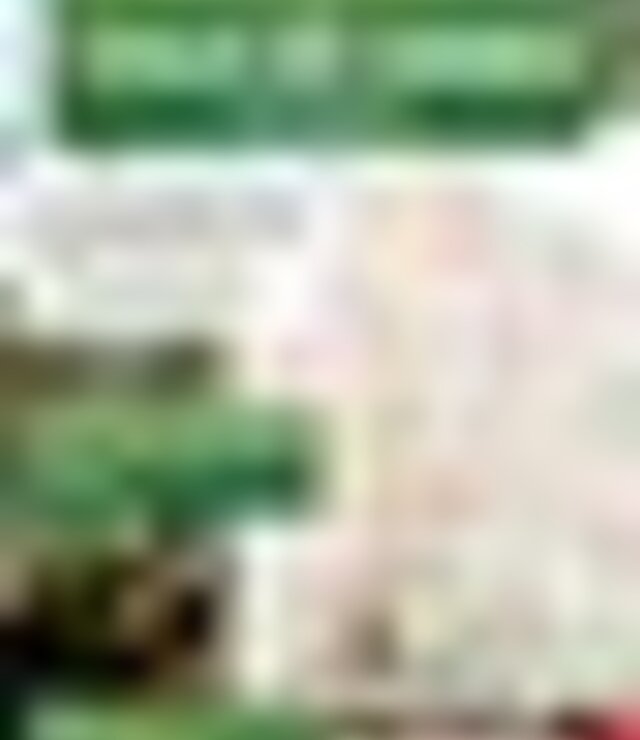 tiny_thumb_cartaz_passeio_pedestre_vale_asnes_23