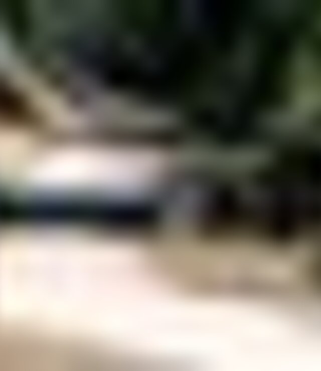 tiny_thumb_trilho_ecoteca_mirandela