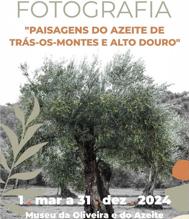 cartaz__exposicao_paisagens_azeite_2024