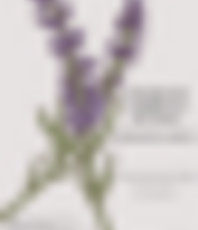 tiny_thumb_sabados_do_imaginario__balsamo_de_corpo__5_