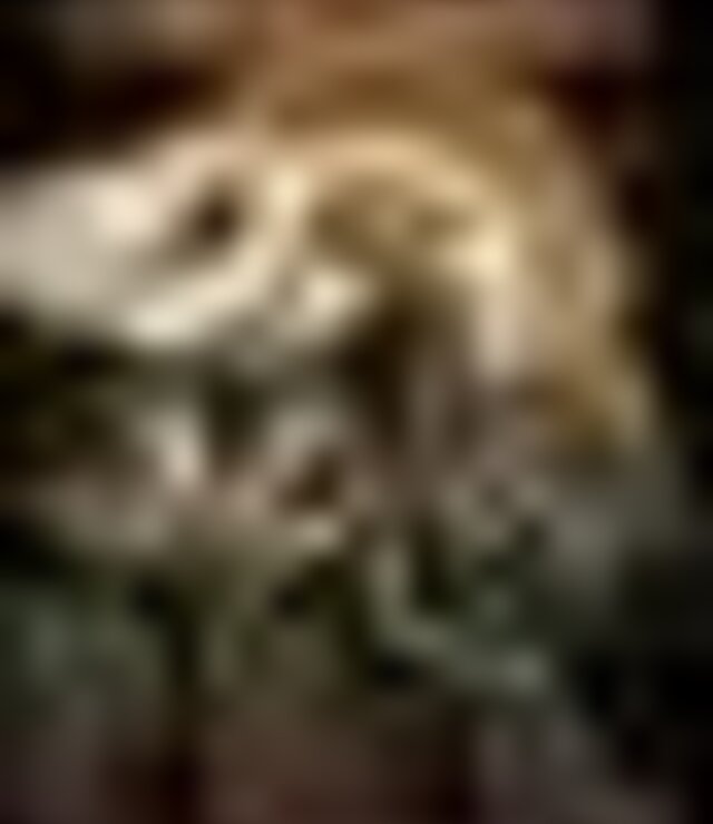 tiny_thumb_26_concentracao_motard