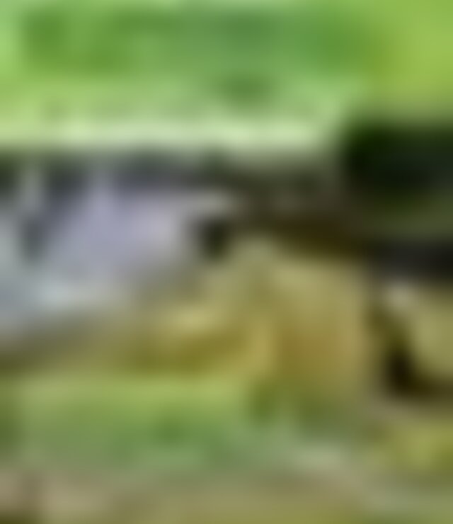 tiny_thumb_jantar_mirandelense_e_amigos