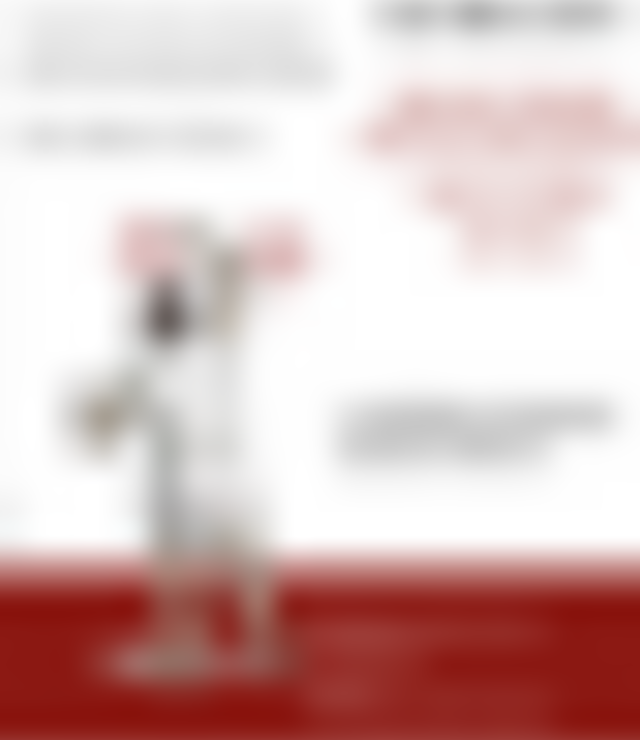 tiny_thumb_cartaz_jogo_dos_abrigos1