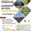 thumb_cartaz_passeio_pedestre_vale_de_gouvinhas_24