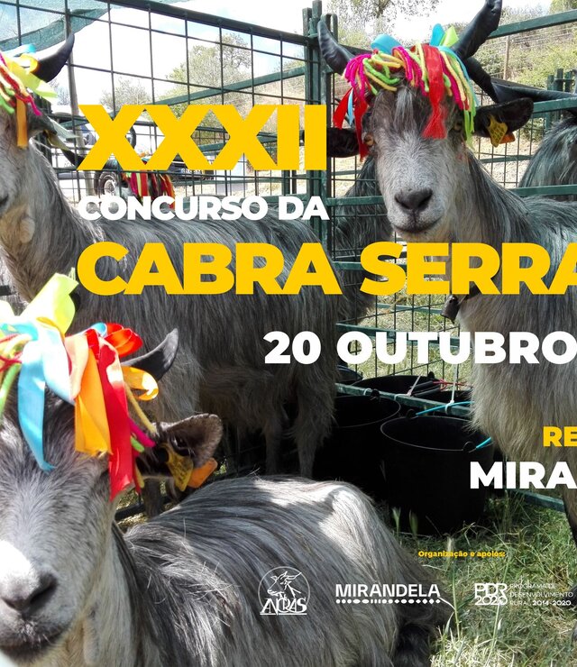 cartaz_xxxii_concurso_cabra_serrana_24