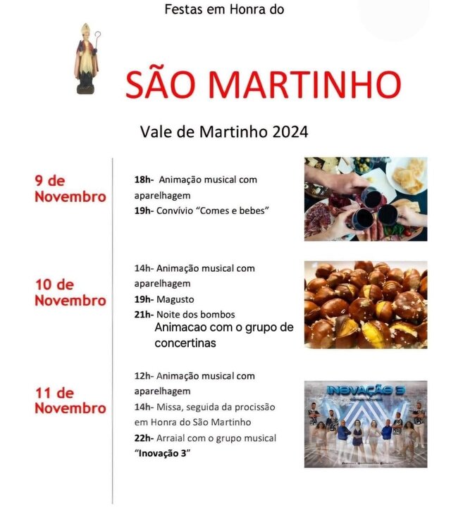 festas_em_honra_de_sao_martinho