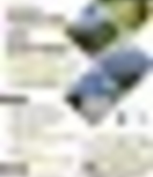 tiny_thumb_cartaz_passeio_pedestre_caravelas_24