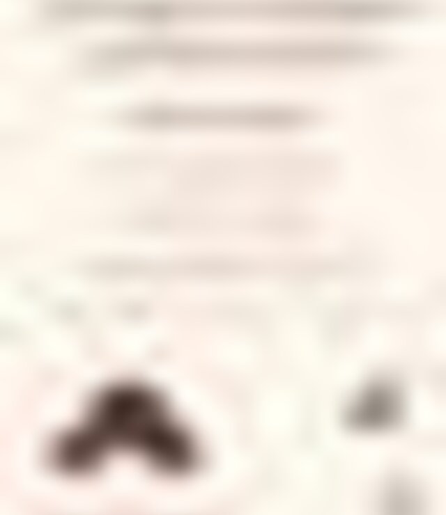 tiny_thumb_magusto_solidario_cvp