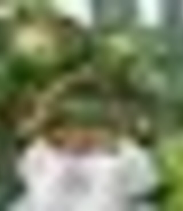 tiny_thumb_feira_da_couve_penca1