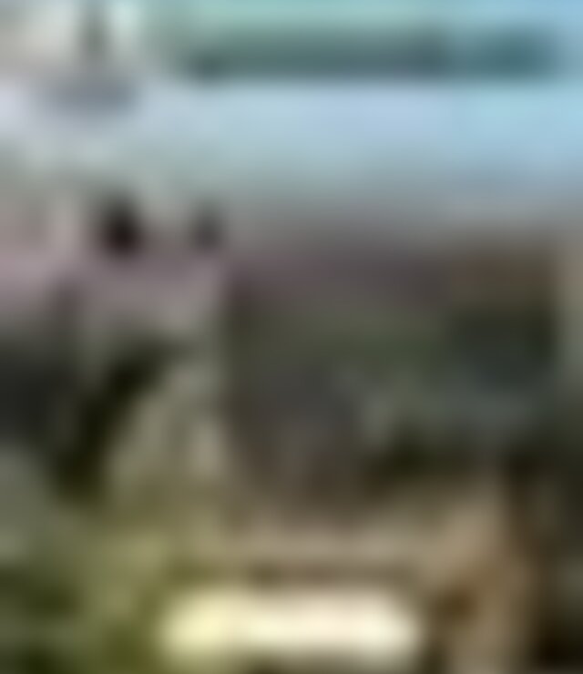 tiny_thumb_montaria_ao_javali