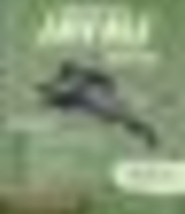 tiny_thumb_montaria_ao_javali___aguieiras