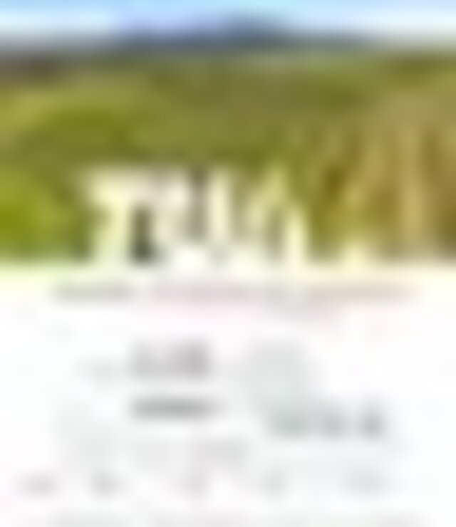 tiny_thumb_programa_mirandela_tfpp_25_page_0001