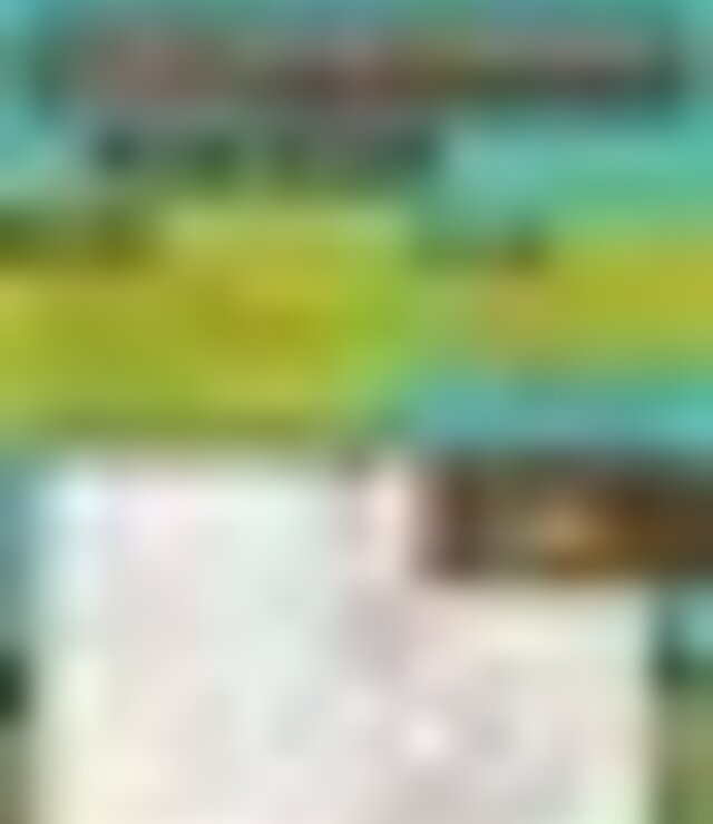tiny_thumb_cartaz_percurso_pedestre_de_sao_pedro_velho_25__1_