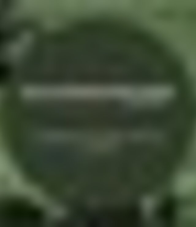 tiny_thumb_original_5f219872_bce2_43a2_a82a_7f595db6bbea