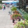 thumb_original_6f3d0f15_97c9_4028_8c16_f0a65c5f3b92