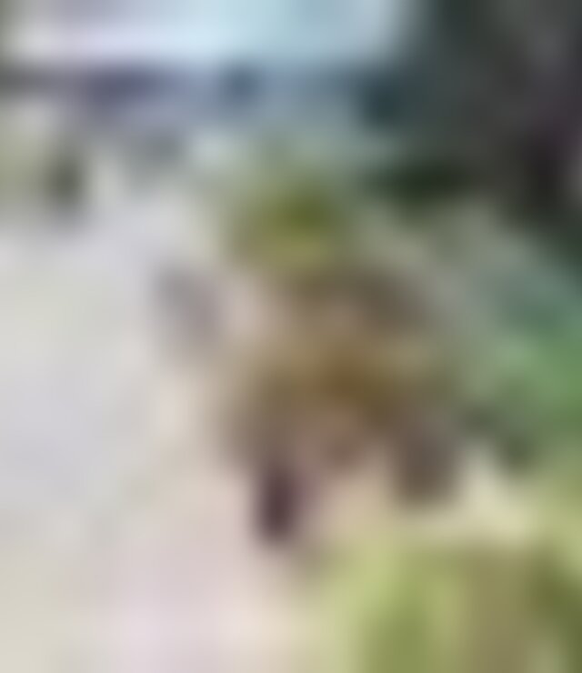 tiny_thumb_original_6f3d0f15_97c9_4028_8c16_f0a65c5f3b92