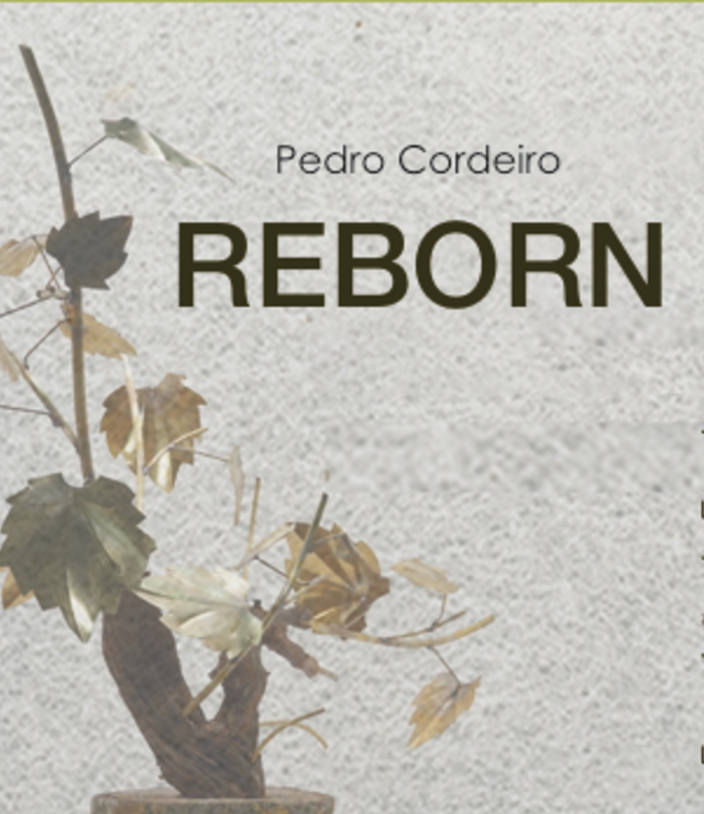 reborn_pedro_cordeiro