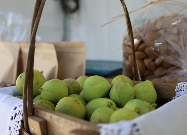 feira_figo_abreiro