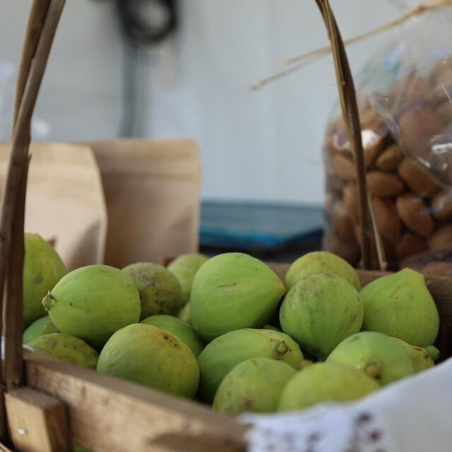 feira_figo_abreiro