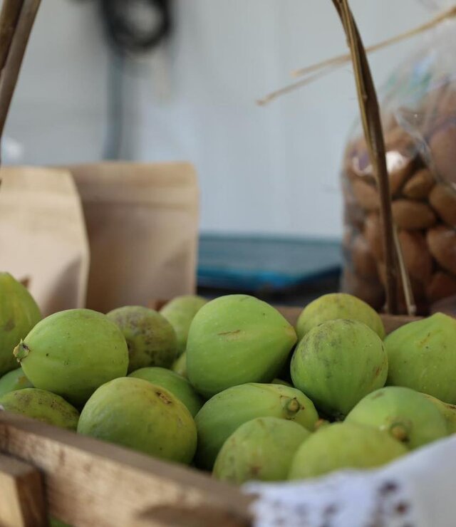 feira_figo_abreiro