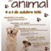 thumb_cartaz_senama_do_animal_2016