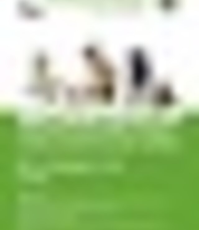 tiny_thumb_Cartaz_Workshop_-_Como_Cuidar_do_Seu_Animal