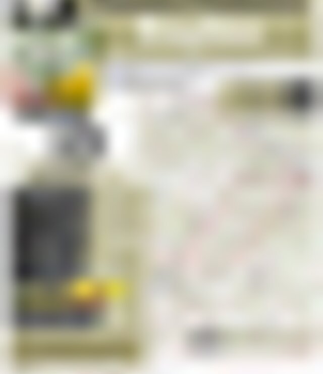 tiny_thumb_13_nov_passeio_pedestre