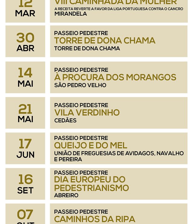 faixa_passeio_pedestre_2017_1