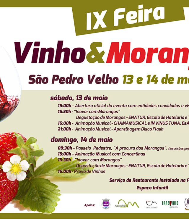 13_14_Maio_9__edi__o_da_Feira_do_Vinho___Morangos_2017