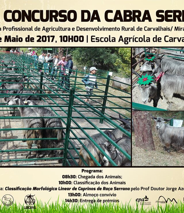 20_MAIO_XXVII_concurso_cabra_serrana_2017