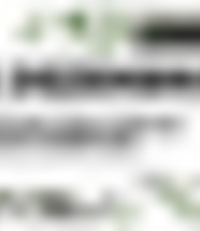 tiny_thumb_serralves_02