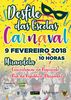 thumb_09_FEV_desfite_de_carnaval_das_escolas_2018