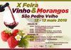 thumb_cartaz_10__edi__o_da_Feira_do_Vinho___Morangos_2018