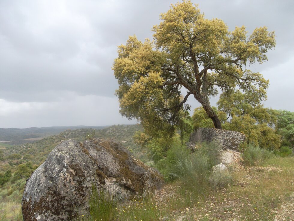 SICRomeu_RedeNatura2000