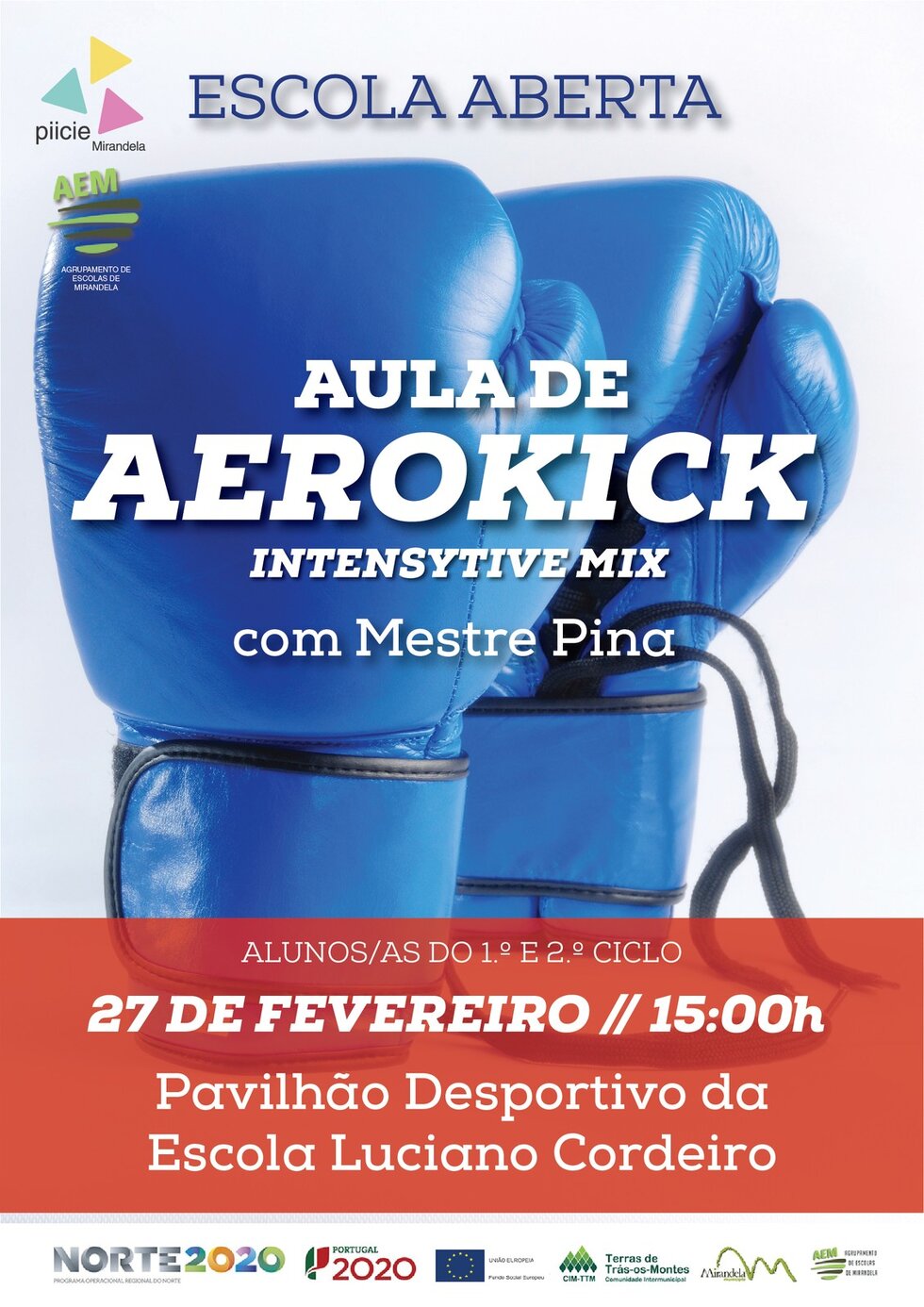 aerokick___piicie__01