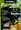 tiny_thumb_feira_pao_azeite_sucaes_mirandela