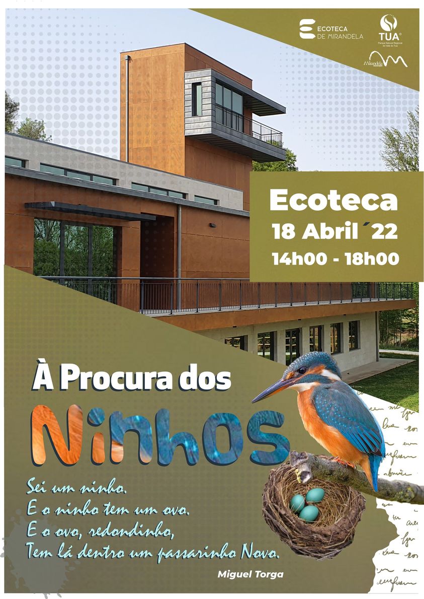 cartaz_ecoteca